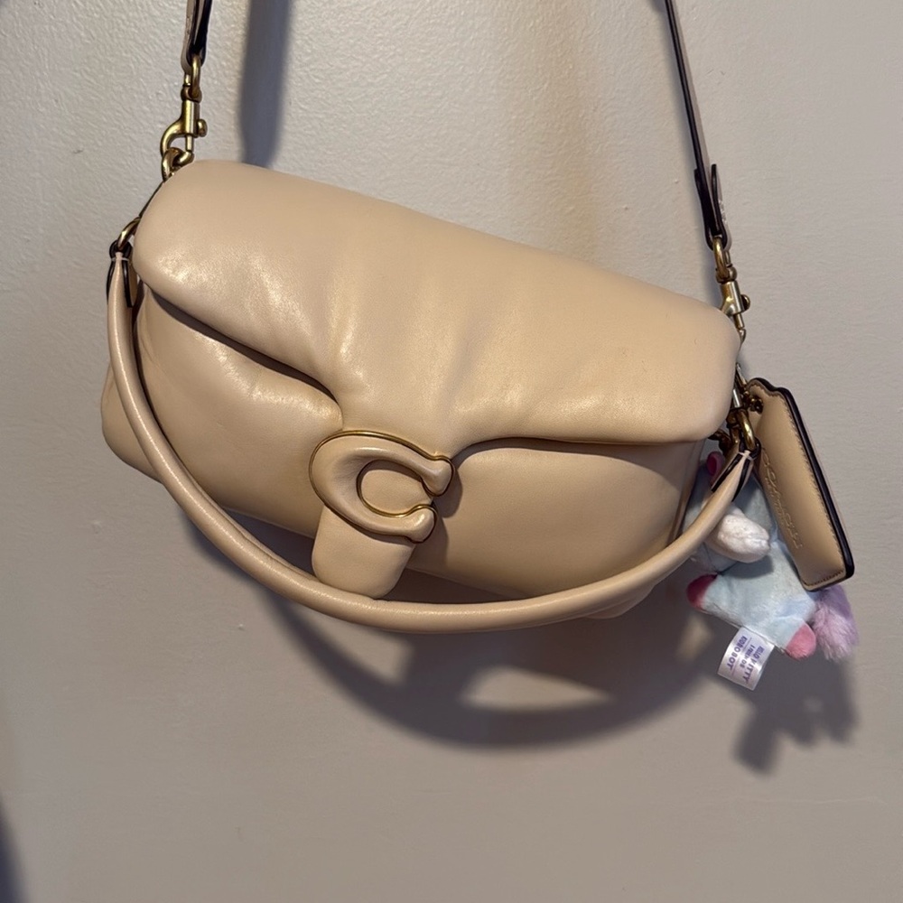 Coach Pillow Tabby 26